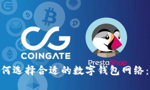 bibiao如何选择合适的数字钱包网络：全面指南