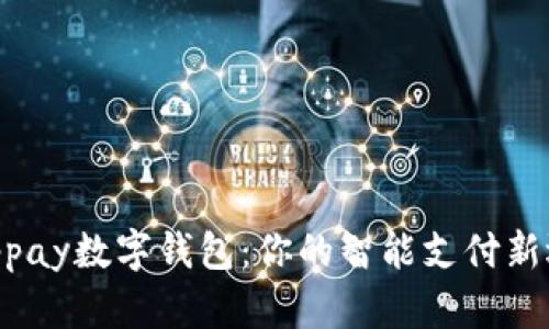 Chippay数字钱包：你的智能支付新选择