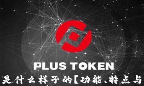 
数字钱包是什么样子的？功能、特点与未来趋势