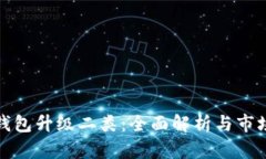数字钱包升级二类：全面解析与市场前景