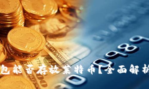 Token.im钱包能否存放莱特币？全面解析与使用指南