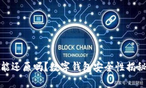 数字钱包不能还原吗？数字钱包安全性揭秘与问题分析