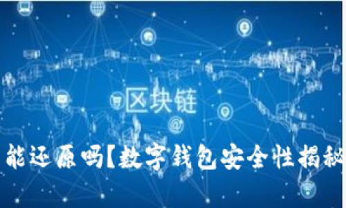 数字钱包不能还原吗？数字钱包安全性揭秘与问题分析