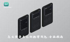 怎么登录自己的数字钱包：全面指南
