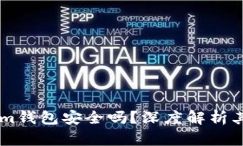 : Token.im钱包安全吗？深度解析其保护机制