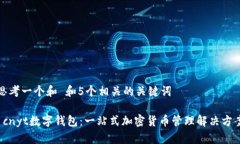 思考一个和 和5个相关的关键词 cnyt数字钱包：一