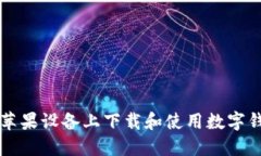 如何在苹果设备上下载和使用数字钱包应用