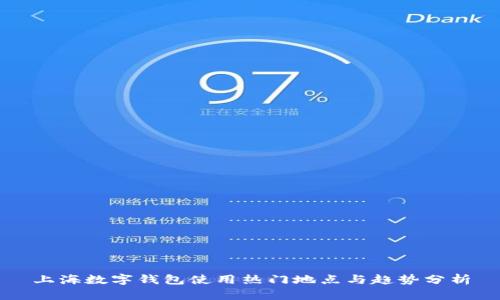 上海数字钱包使用热门地点与趋势分析