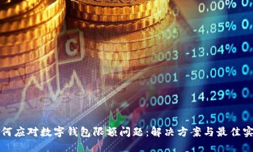 如何应对数字钱包限额问题：解决方案与最佳实践