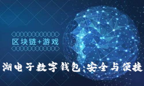 揭秘深圳罗湖电子数字钱包：安全与便捷的完美结合