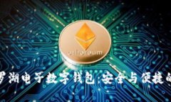 揭秘深圳罗湖电子数字钱包：安全与便捷的完美