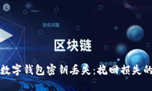 如何应对数字钱包密钥丢失：挽回损失的实用指南