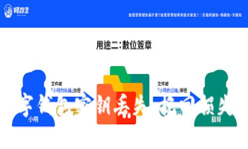 如何应对数字钱包密钥丢失：挽回损失的实用指南