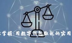 轻松掌握：用数字钱包缴税的实用指南