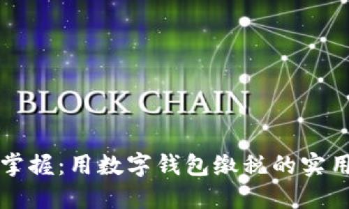 轻松掌握：用数字钱包缴税的实用指南