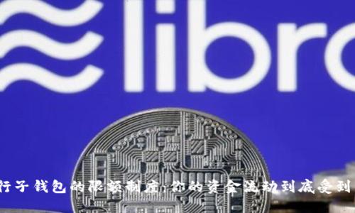 探索数字银行子钱包的限额制度：你的资金流动到底受到了哪些影响？