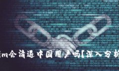 Token.im会清退中国用户吗？深入分析与解读