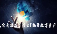 区块链钱包究竟储存了什么？揭开数字资产的神