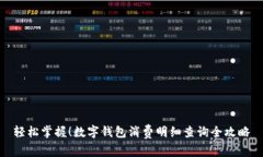 轻松掌握！数字钱包消费明细查询全攻略