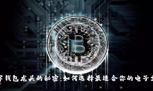 探寻数字钱包龙头的秘密：如何选择最适合你的电子支付工具