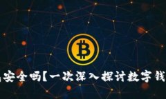 存钱在数字钱包安全吗？一次深入探讨数字钱包