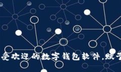 全面解析：印尼最受欢迎的数字钱包软件，赋予