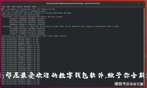全面解析：印尼最受欢迎的数字钱包软件，赋予你全新支付体验
