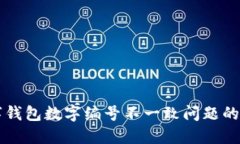 解决数字钱包数字编号不一致问题的全面指南