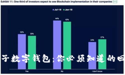 揭秘电子数字钱包：你必须知道的回单真相