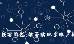 对公数字钱包：能否实现多账户操作？