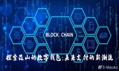 探索昆山的数字钱包：未来支付的新潮流