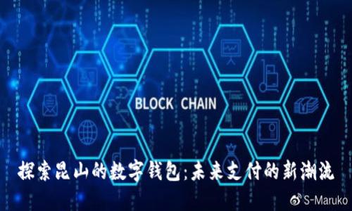 探索昆山的数字钱包：未来支付的新潮流