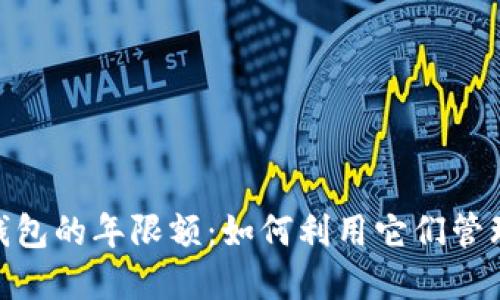 探索数字钱包的年限额：如何利用它们管理个人财务
