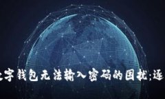 解决数字钱包无法输入密码的困扰：逐步指南