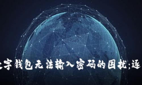 解决数字钱包无法输入密码的困扰：逐步指南