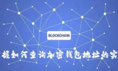 快速掌握如何查询加密钱包地址的实用技巧