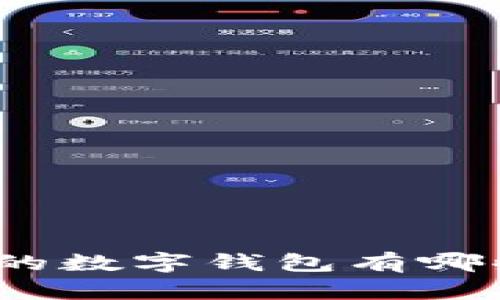 欧美地区最受欢迎的数字钱包有哪些？洞悉趋势与选择