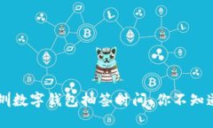 深入了解深圳数字钱包抽签时间：你不知道的那