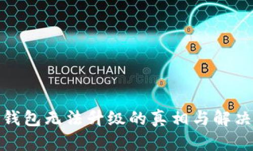 数字钱包无法升级的真相与解决方案