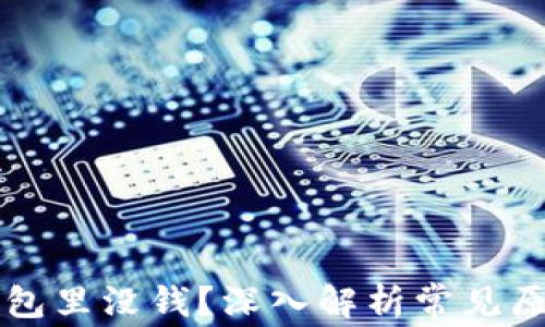 
为什么数字钱包里没钱？深入解析常见原因与解决方案