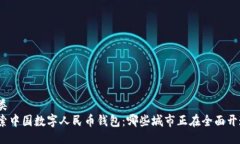 归类探索中国数字人民币钱包：哪些城市正在全