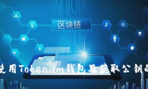 如何安全使用Token.im钱包及获取公钥的详细指南