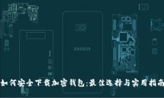 如何安全下载加密钱包：最佳选择与实用指南