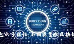 揭示区块链钱包的多样性：不同类型的区块链钱