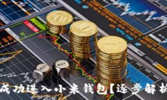  加密卡能否成功进入小米钱包？逐步解析及使用