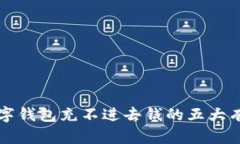 解决数字钱包充不进去钱的五大有效方法