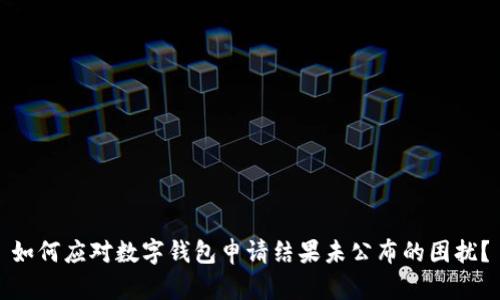 如何应对数字钱包申请结果未公布的困扰？