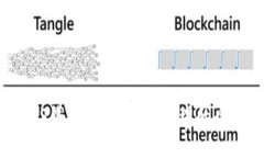 探索BVS钱包：数字货币管理的全新利器