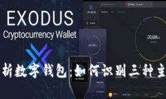 全面解析数字钱包：如何识别三种主要类型