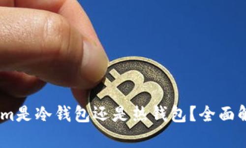 中文: token.im是冷钱包还是热钱包？全面解析及使用指南